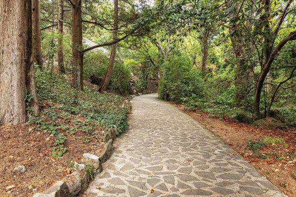 Stone Walkway Repair in Chillicothe